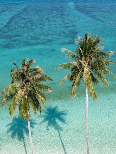 Aruba