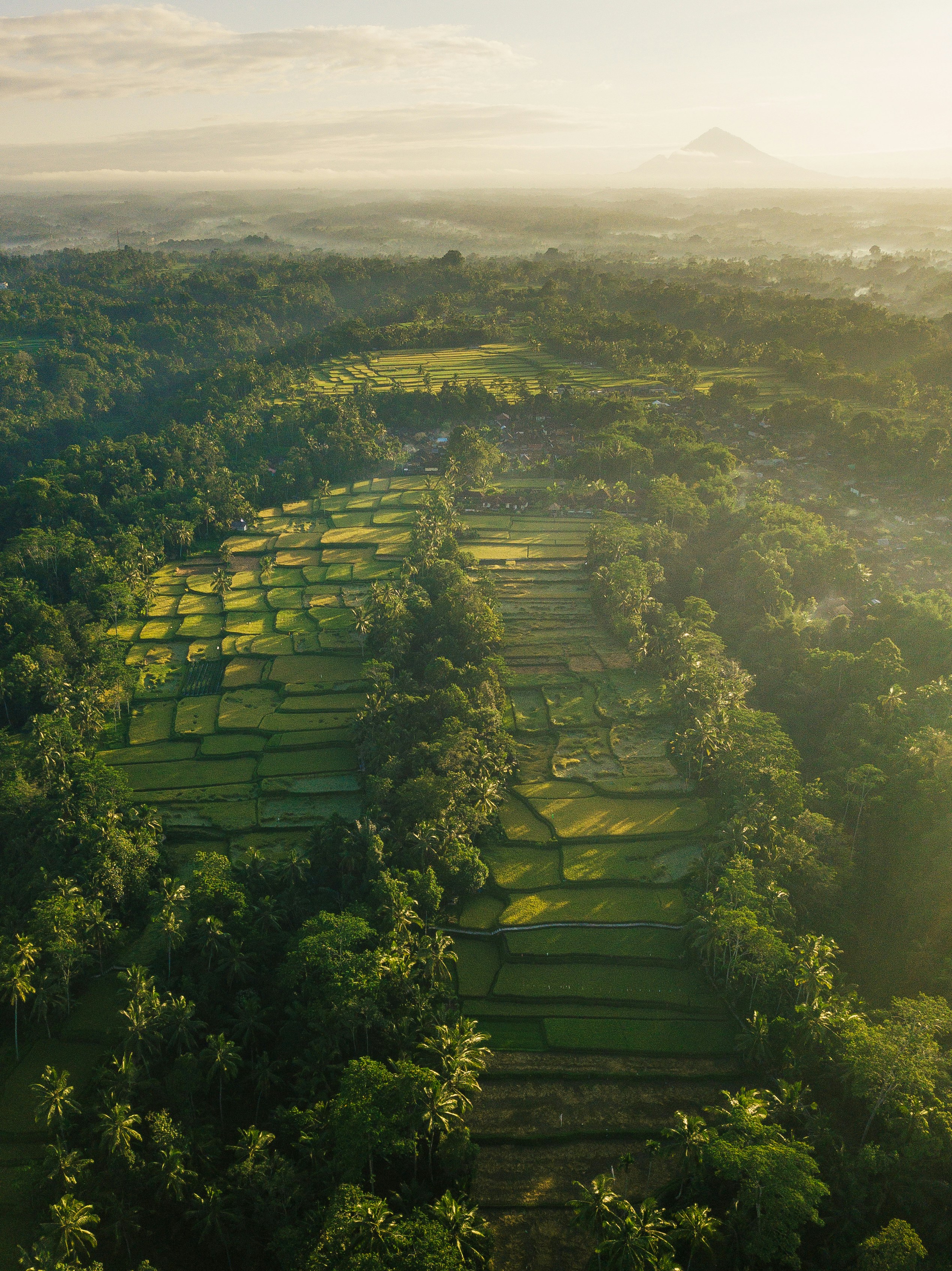 Indonesië