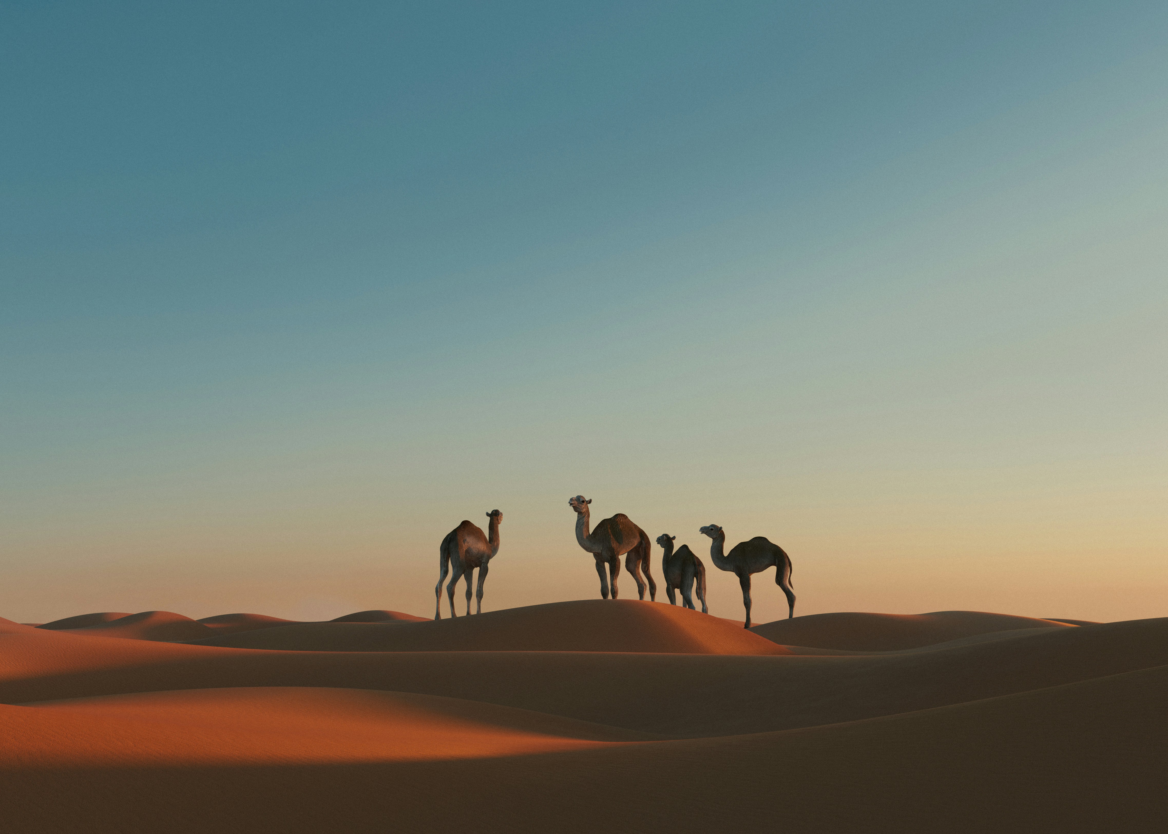 Goedkope vluchten naar Egypte