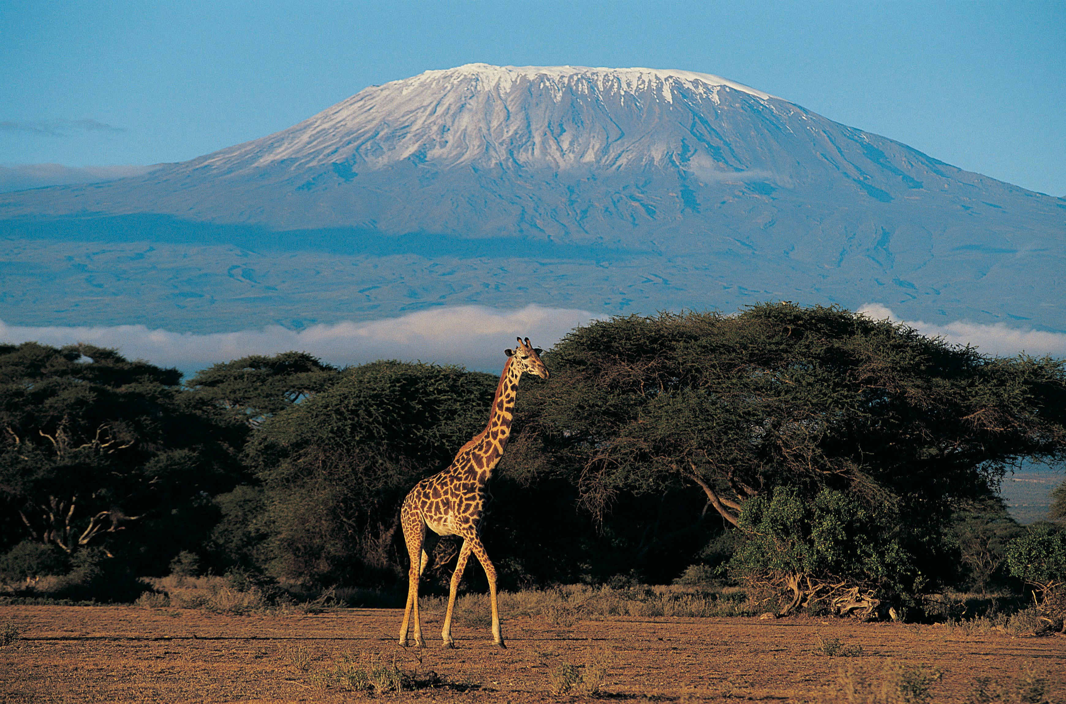 Nairobi