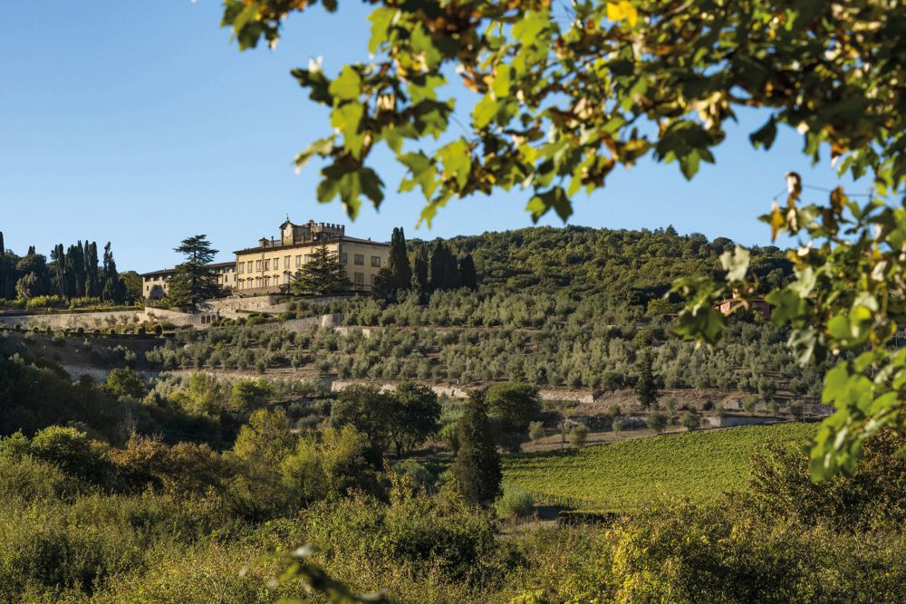 Hotel Torre A Cona Wine Estate